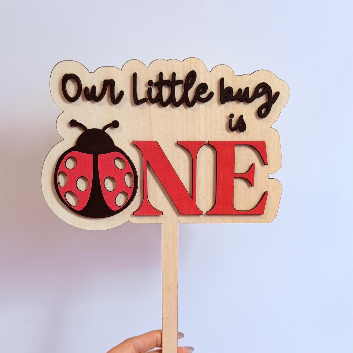 Ladybug First Birthday Cake Topper, Wooden ONE Topper, Our Little Bug Turns One, Little Love Bug Turns One, One Cute Bug.