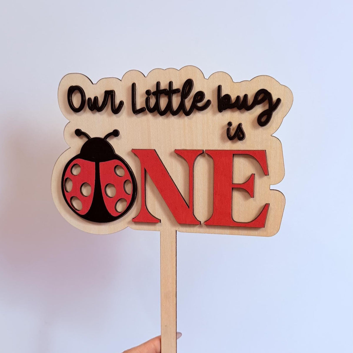 Ladybug First Birthday Cake Topper, Wooden ONE Topper, Our Little Bug Turns One, Little Love Bug Turns One, One Cute Bug.