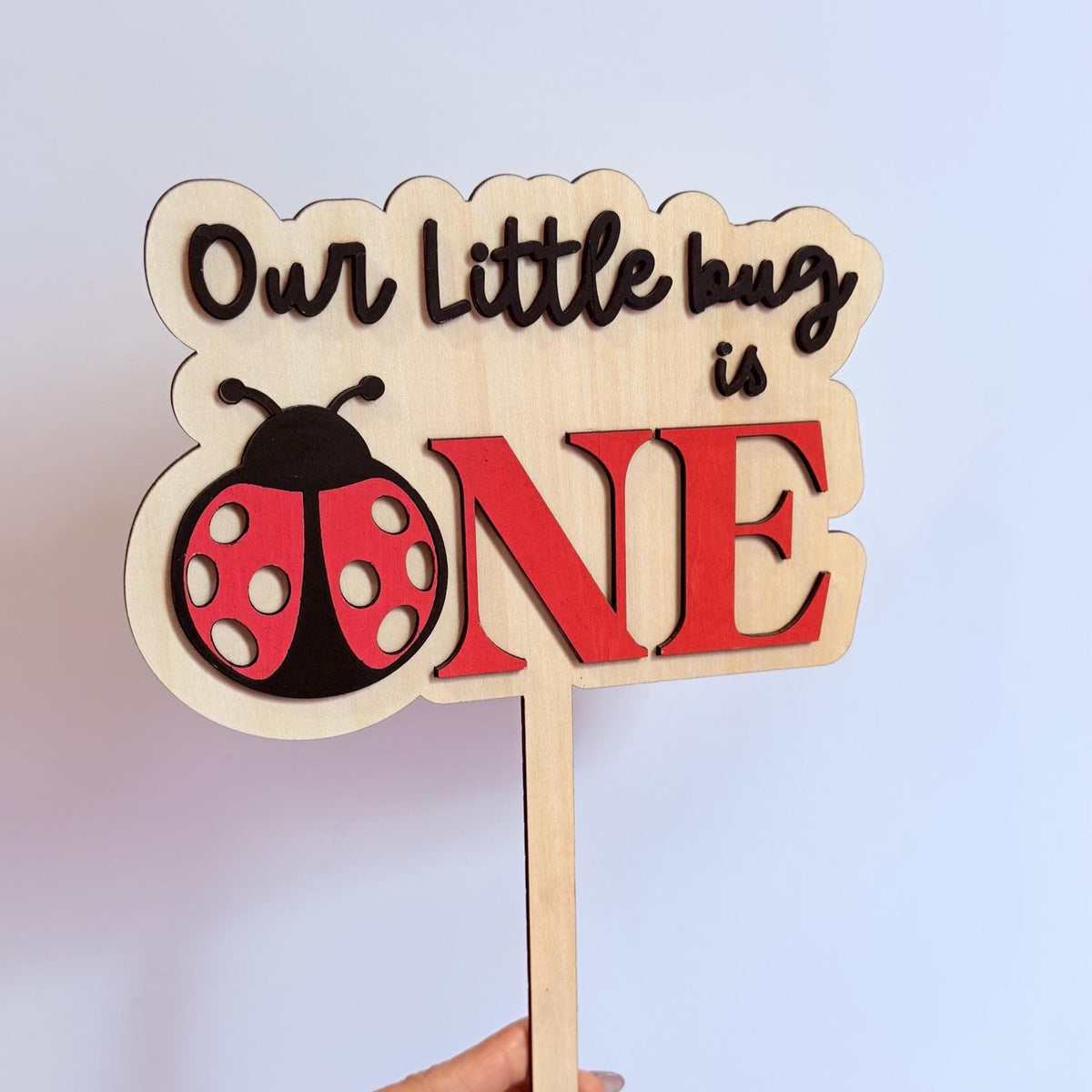 Ladybug First Birthday Cake Topper, Wooden ONE Topper, Our Little Bug Turns One, Little Love Bug Turns One, One Cute Bug.